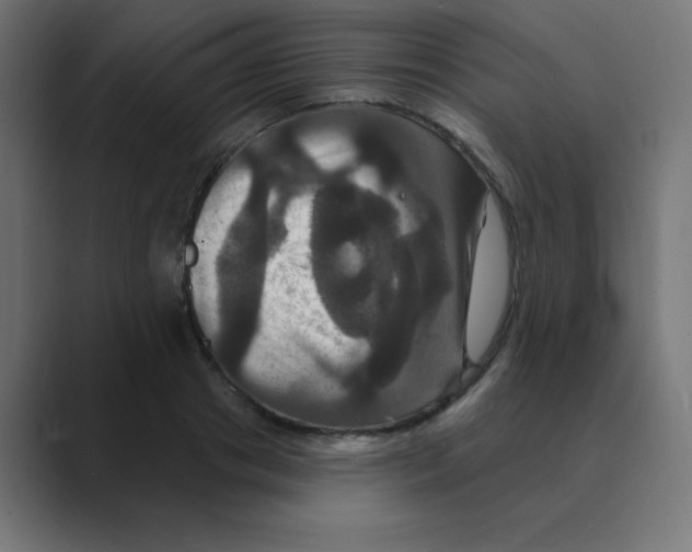 X0000088470841200706191346