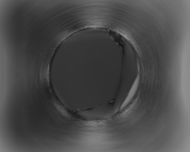 X0000088470842200706191346