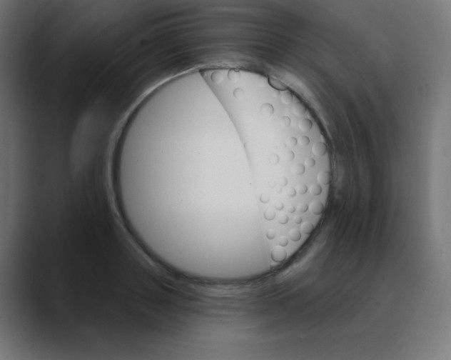 X0000088470843200706191346