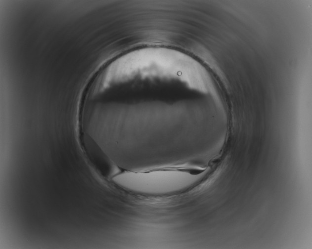 X0000088470845200706191346