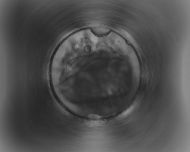 X0000088470847200706191346