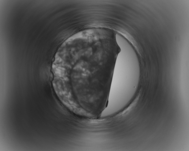 X0000088470849200706191346