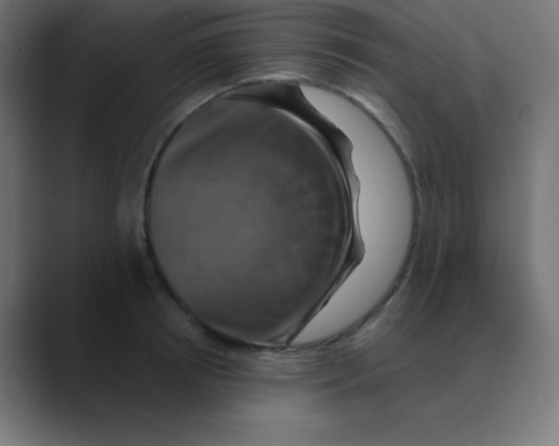 X0000088470850200706191346