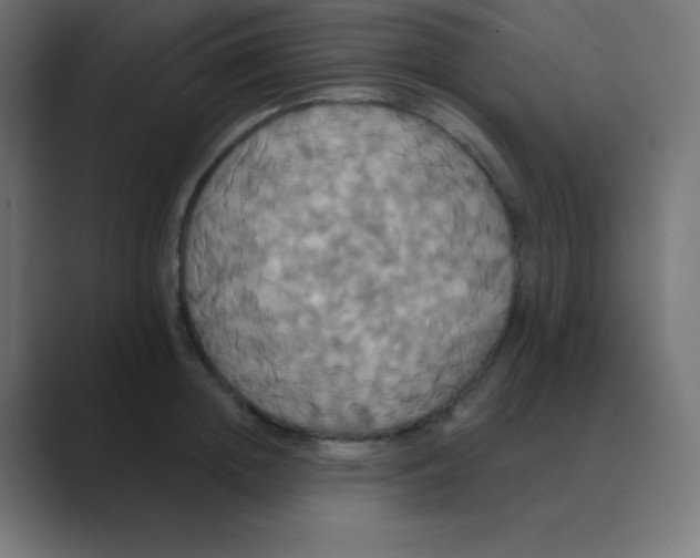 X0000088470852200706191346