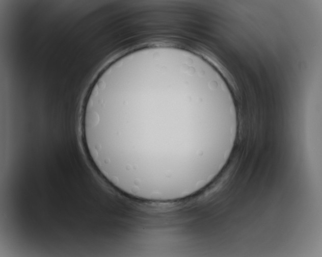 X0000088470853200706191346