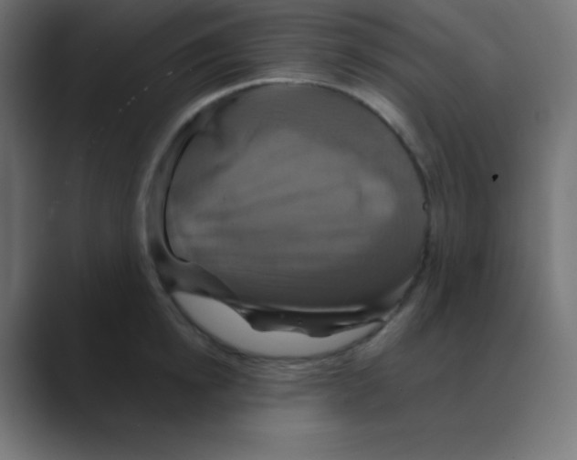 X0000088470854200706191346