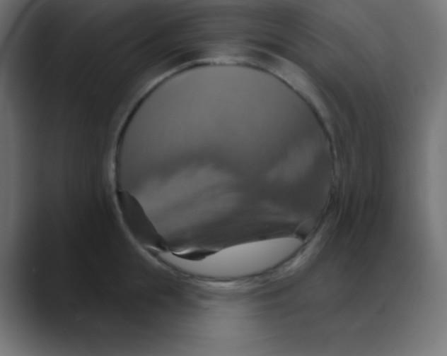 X0000088470855200706191347