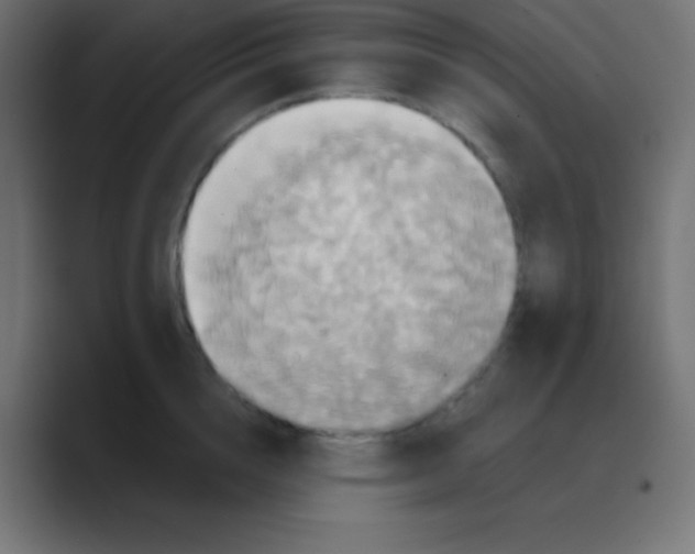 X0000088470856200706191347