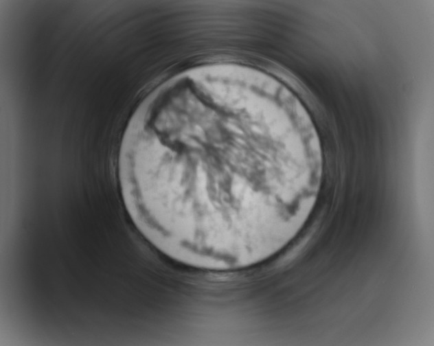 X0000088470857200706191347