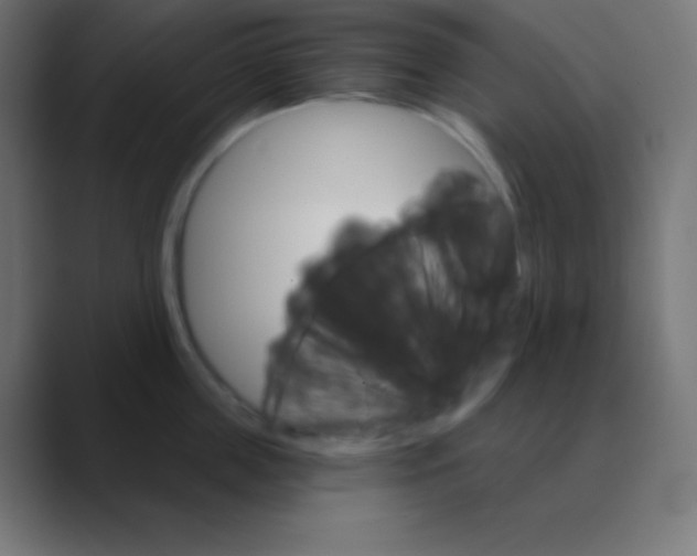 X0000088470859200706191347