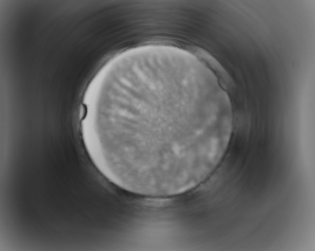 X0000088470860200706191347