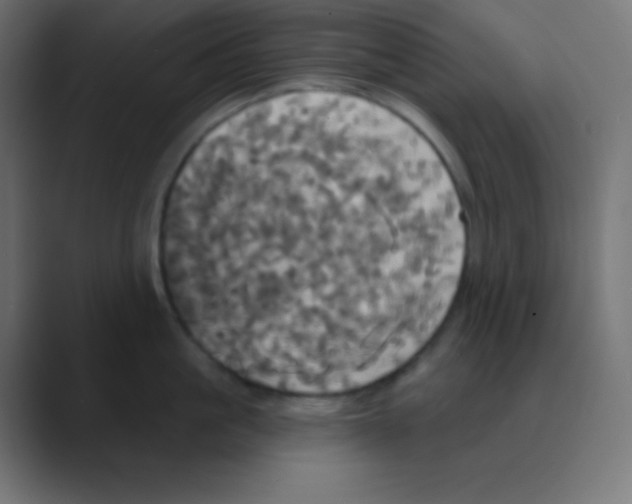 X0000088470861200706191347