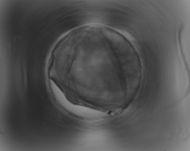 X0000088470864200706191347