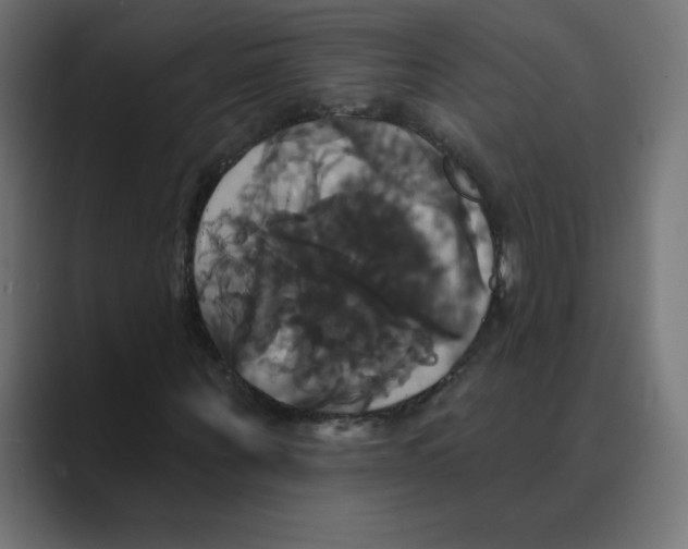 X0000088470867200706191346