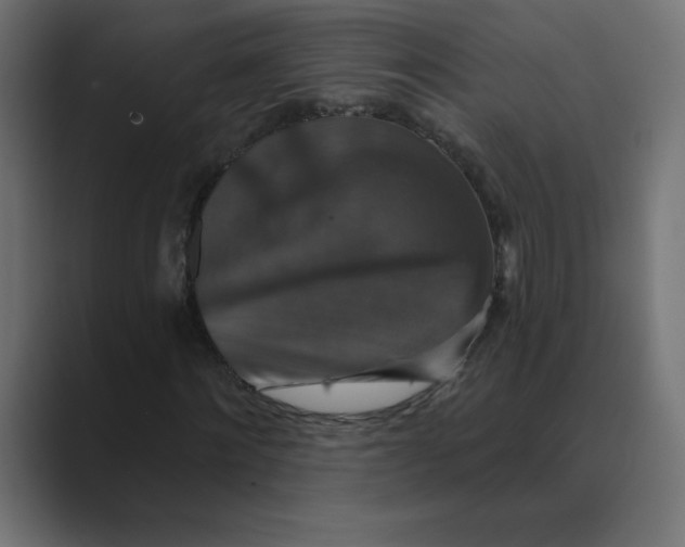 X0000088470868200706191346