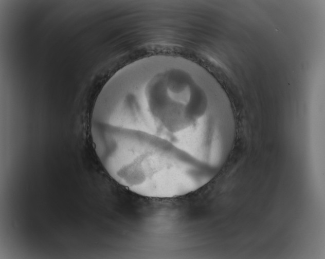 X0000088470870200706191346