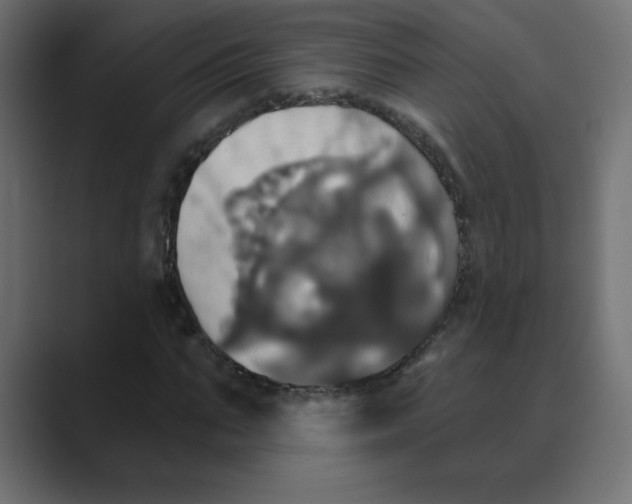 X0000088470871200706191346