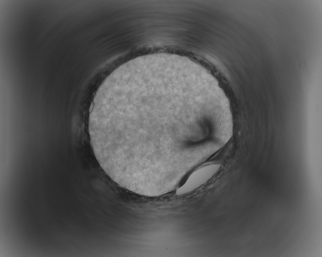 X0000088470872200706191346