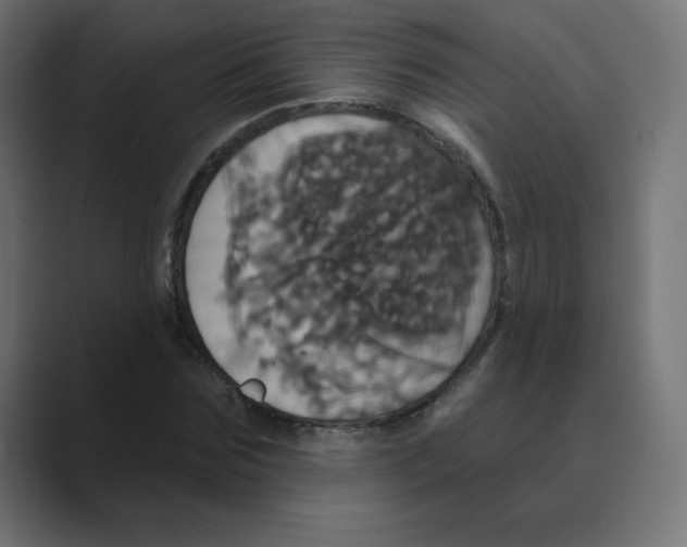 X0000088470875200706191346