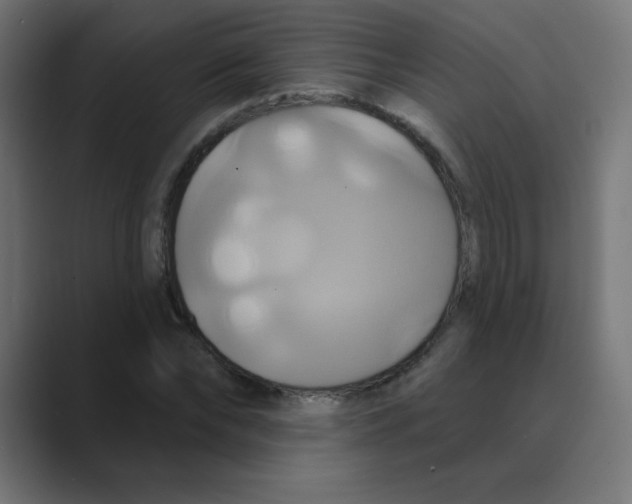 X0000088470878200706191346