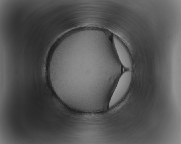 X0000088470880200706191346