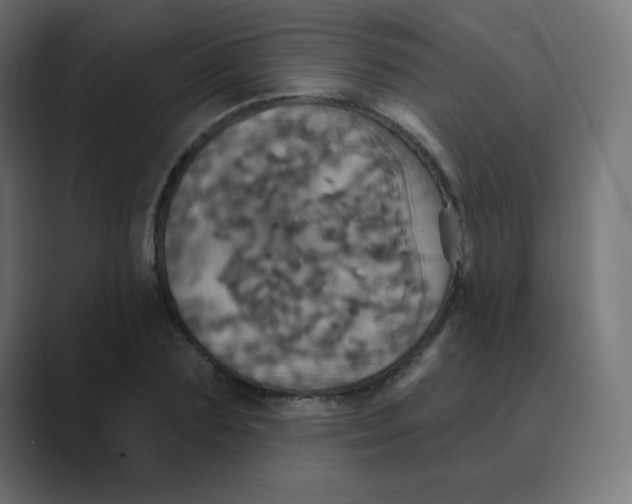 X0000088470883200706191346