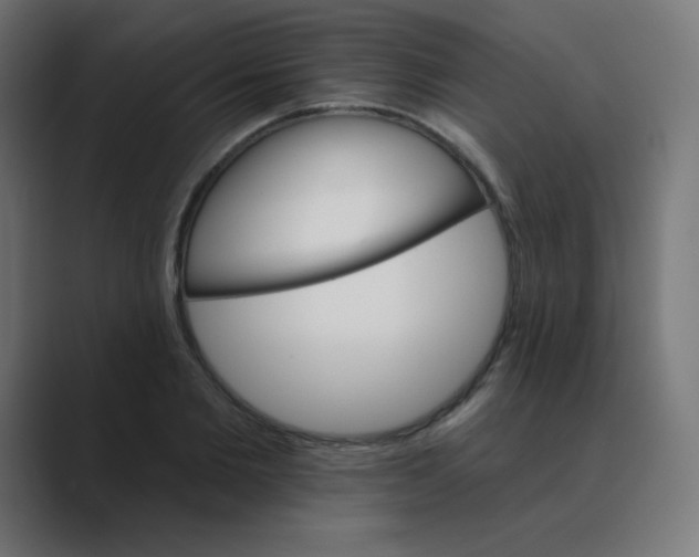 X0000088470885200706191346