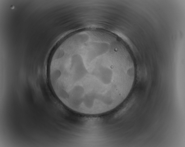 X0000088470886200706191346