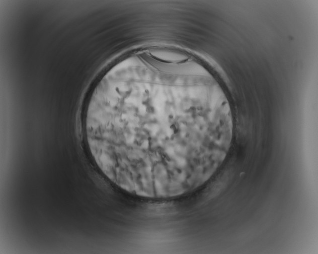 X0000088470887200706191346