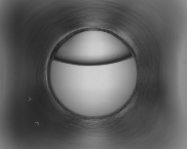 X0000088470888200706191346