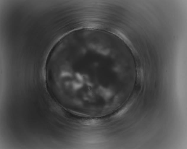 X0000088470891200706191346