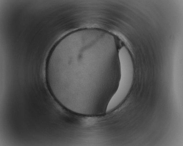 X0000088470894200706191346