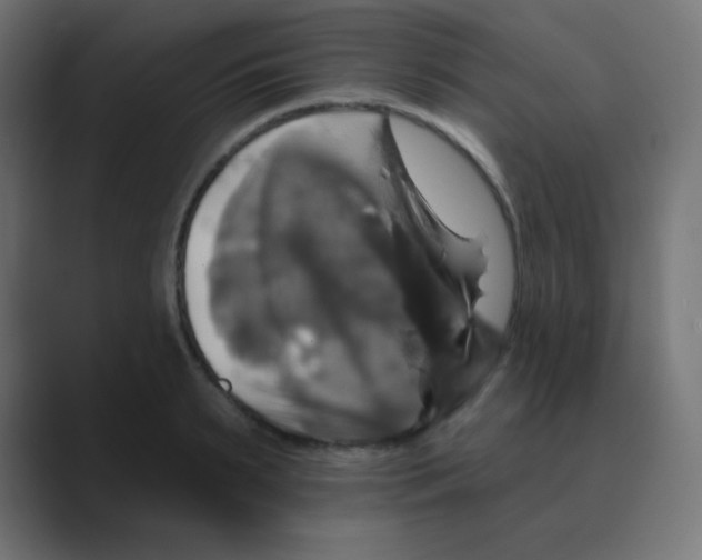 X0000088470895200706191346