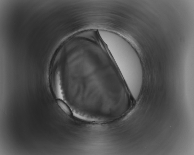 X0000088470896200706191346