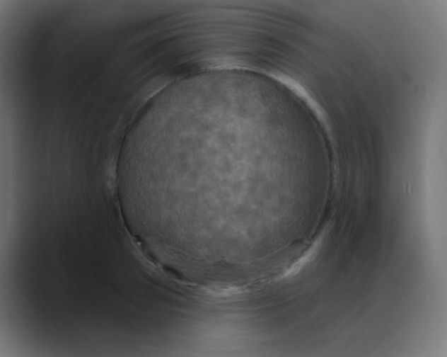 X0000088470897200706191346