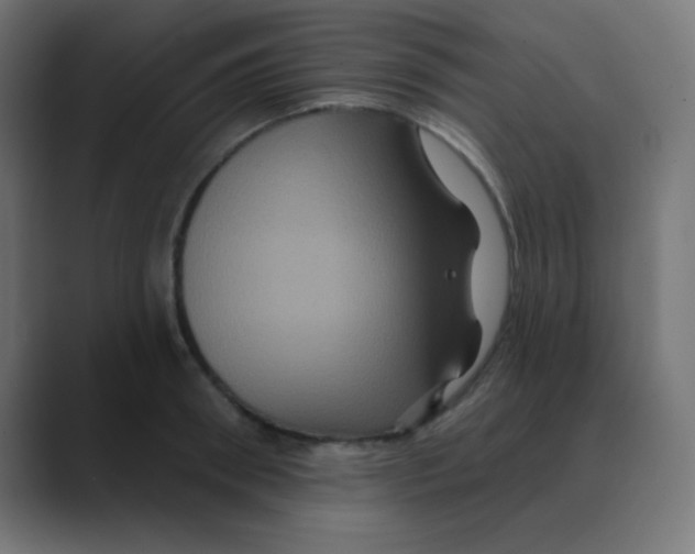 X0000088470898200706191346