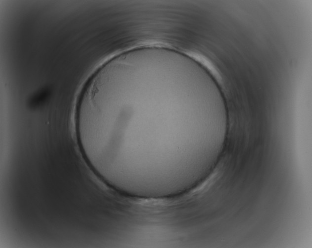 X0000088470902200706191346