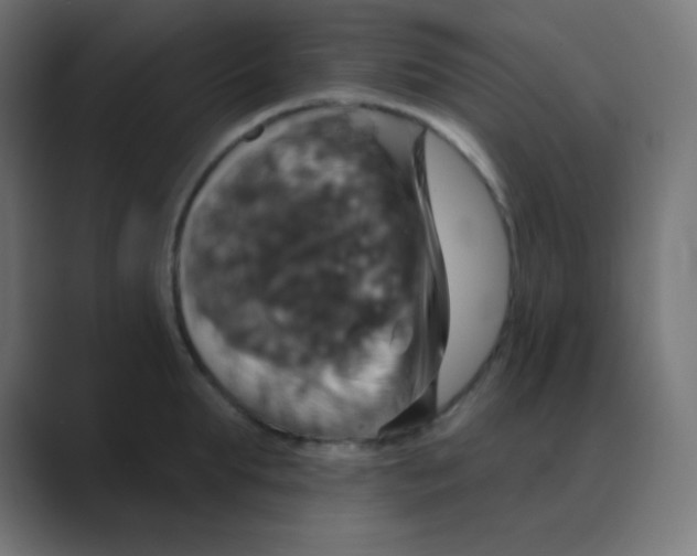 X0000088470903200706191346