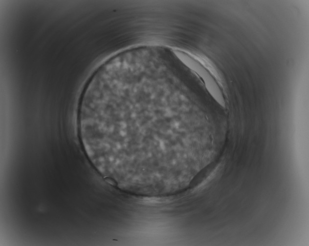 X0000088470904200706191345