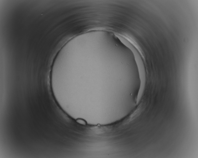 X0000088470906200706191345