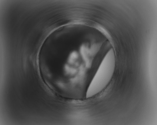 X0000088470907200706191345