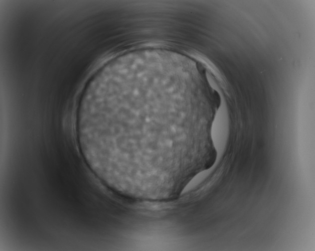 X0000088470910200706191345