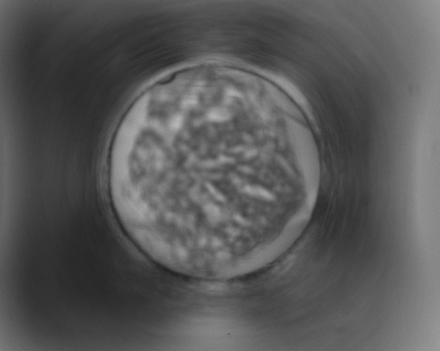 X0000088470911200706191345