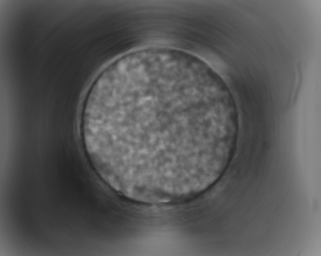 X0000088470912200706191345