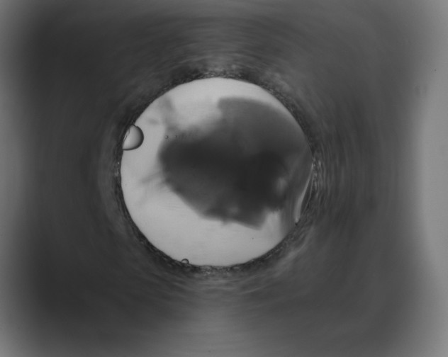 X0000088470913200706191345