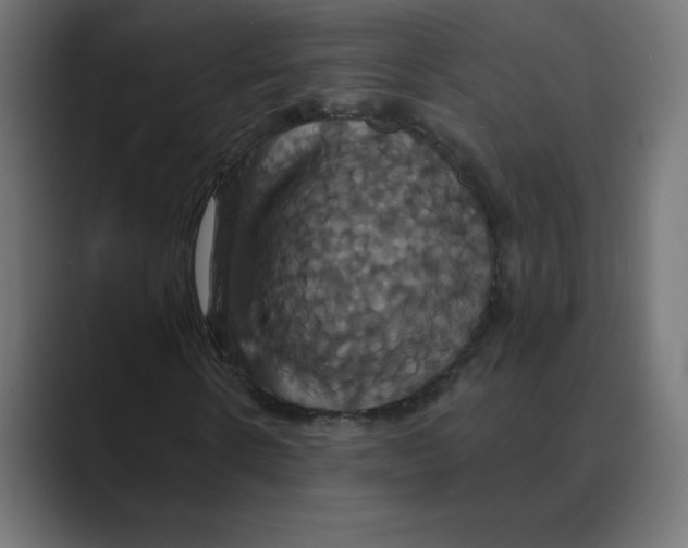 X0000088470914200706191345