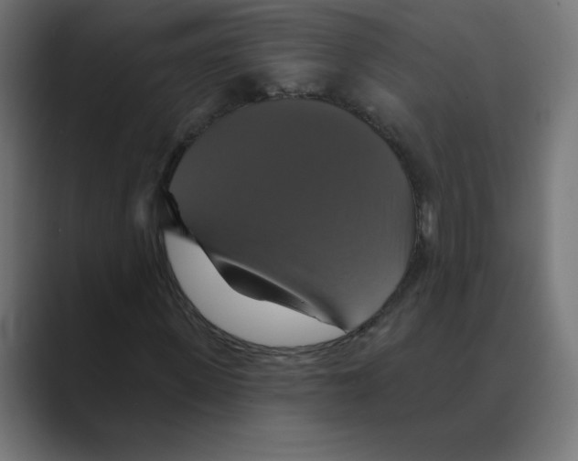 X0000088470915200706191345