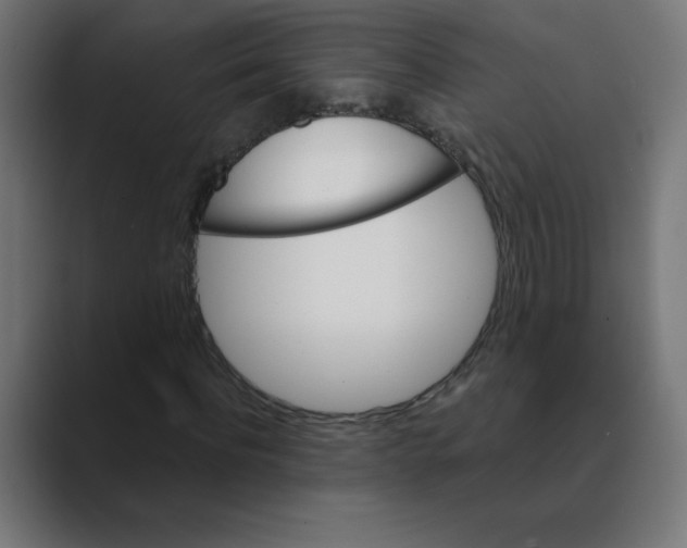 X0000088470916200706191345