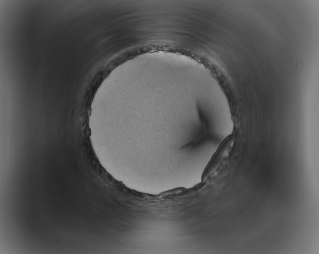 X0000088470920200706191345