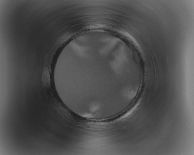 X0000088470921200706191345